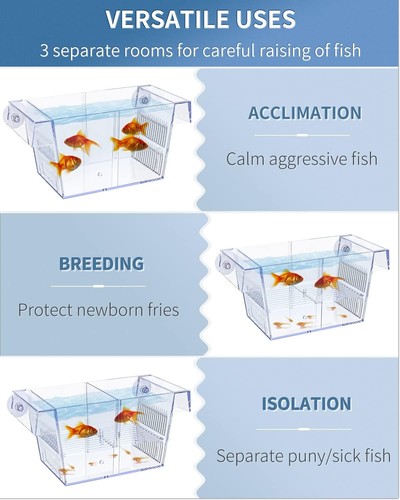 Lightweight Fish Breeding Tank with Floating Design - Ideal for Betta and Guppy - Picture 6 of 9