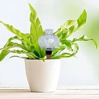 2pcs transparent lantern style potted plant automatic watering system