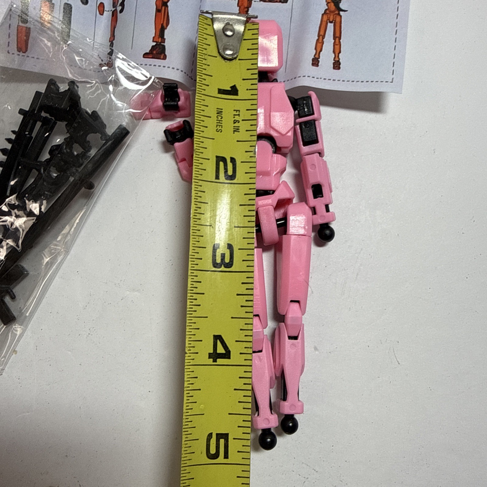 Picture 5 of 5