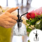 Plant Mister Transparent Glass Bottle Watering Spray Container Vintage Spritzer