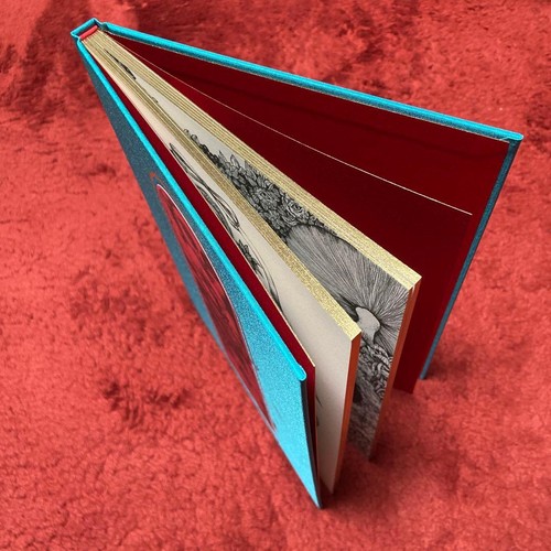 Libro de autógrafos Yuko Higuchi Fear edición 4 - Imagen 5 de 5