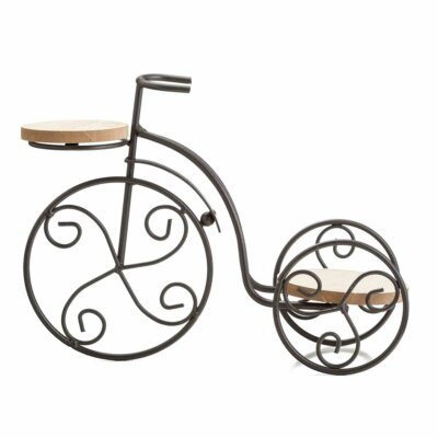 TJ Global 2-Plant Iron Bicycle Plant Stand, Metal Wire Flower Pot Wrought...