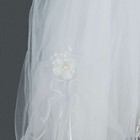 Foto 4 di 5
