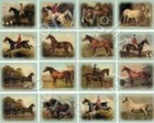 In Plastic Sleeves Domestic Animals Collectable Trade Cards