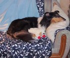 Bild 6 von 8