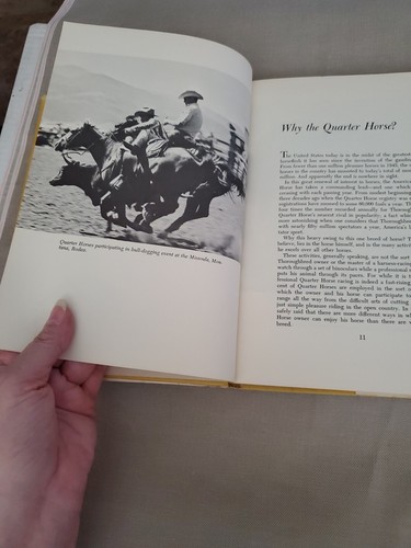THE QUARTER HORSE - Walter D. Osborne, (HCDJ, 1967 vintage hardcover) - Picture 10 of 13