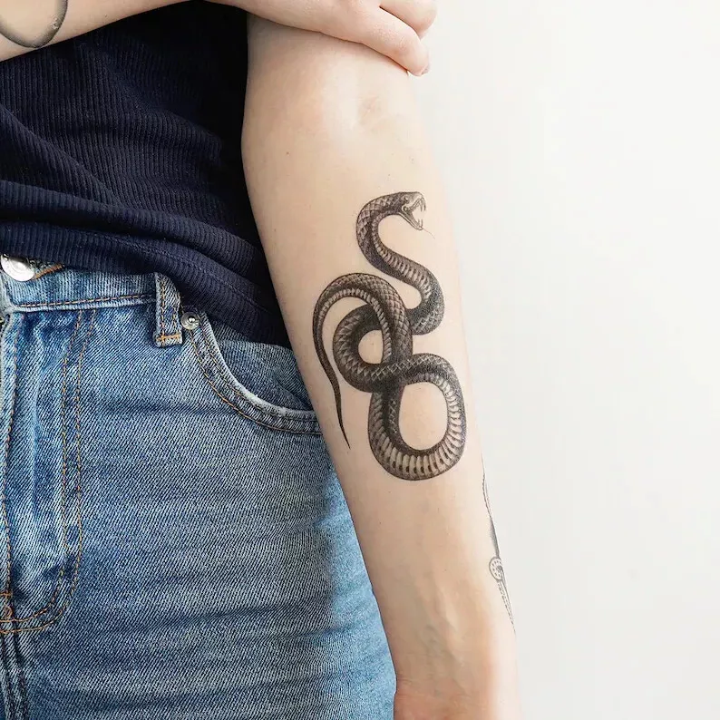 Rate This Box Snake Tattoo 1 to 100