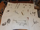 Picture 2 of 18