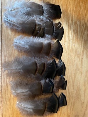 20 pcs Natural Eastern Wild Turkey Body Feathers for Fly Tying or Crafts