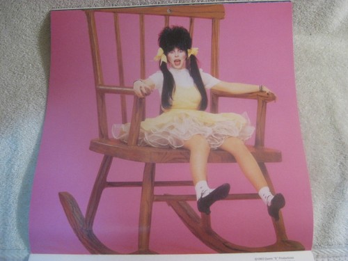 ELVIRA MISTRESS OF THE DARK 1994 CALENDAR HALLOWEEN CASSANDRA PETERSON NEW - Picture 5 of 14