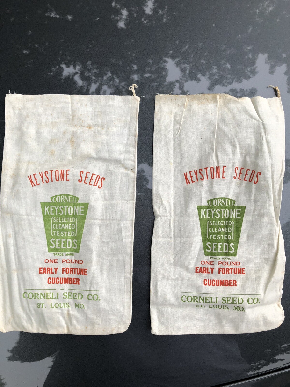 VINTAGE 5”x 9” Keystone Seeds Cornell Seed Co St. Louis, MO Feed Bag