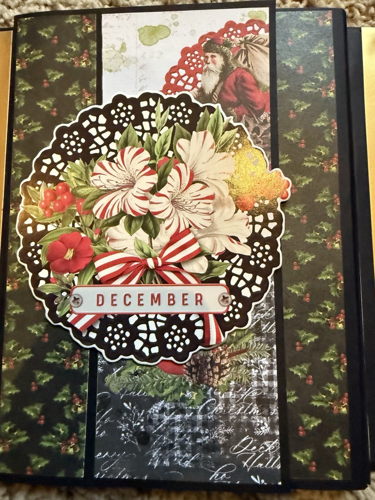 Picture 4 of 15