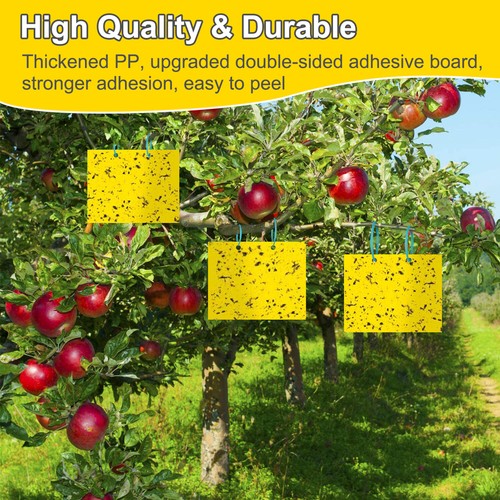 Fruit Flies Trap Sticky Fly Glue Yellow Paper Trap Insect Mosquitoes Pest Catch - Picture 50 of 96