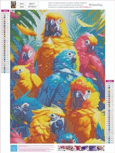 Diamond Painting Kits for Adults, 5D Rainbow Birds Diamond Art Colorful Parrot - Picture 4 of 7
