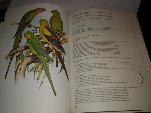 Parrots Of The World RARE BOOK By Joseph M Forshaw Illustrated William T Cooper - Bild 3 von 3