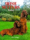 Irish Setters Today by Gardner, Eve