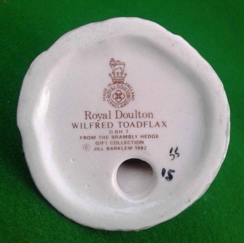 ROYAL DOULTON BRAMBLY HEDGE FIGURINE SELECTION. - Picture 82 of 293