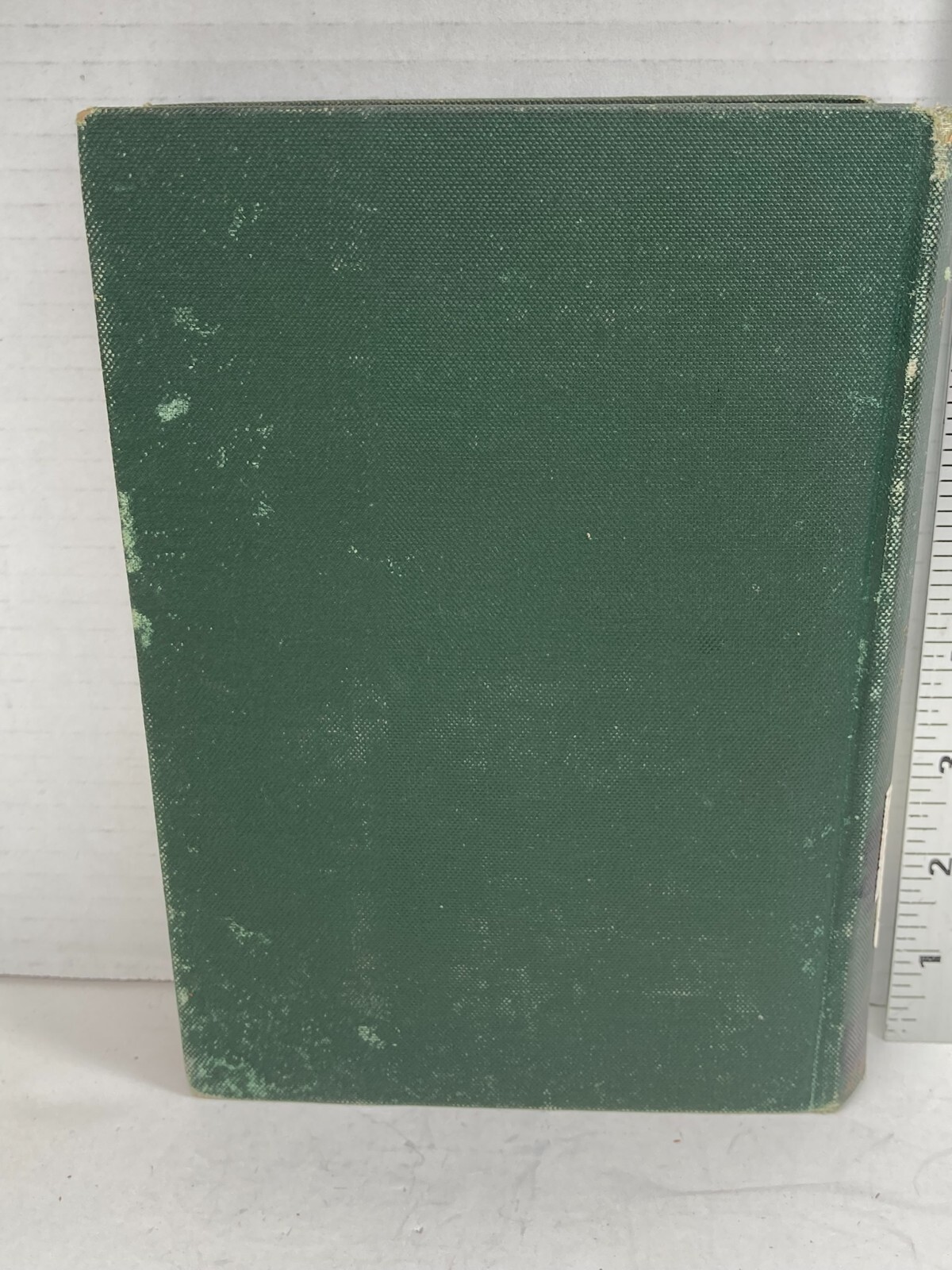 Picture 5 of 14