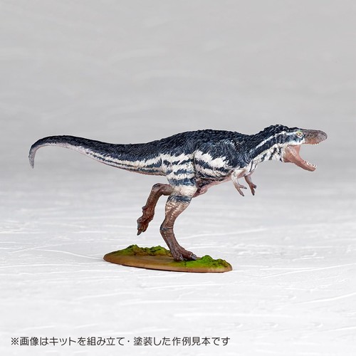 Kaiyodo Artpla ARTPLA Tyrannosaurus (juvenile) 1/35scale unpainted plasticmodel - Picture 9 of 9