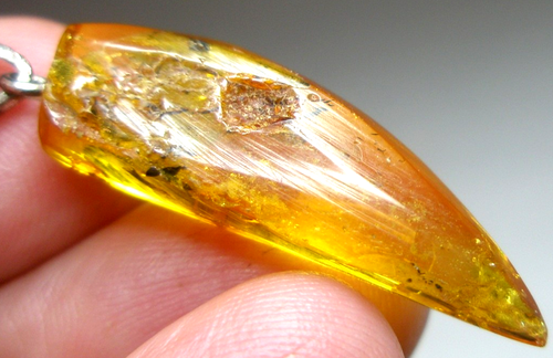 Ambra baltica naturale PENDENTE ,, ZANNA '' - Imagen 3 de 18