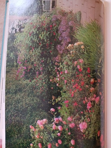 Vita Sackville-West's The Garden Book HC 1979 Sissinghurst Castle & Cottage Gard - Picture 8 of 14