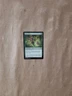 MTG Magic Time Spiral Remastered X1 Keen Sense (NM/MINT)