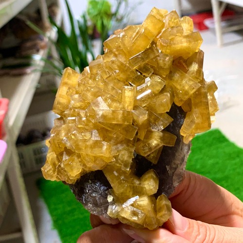 1.39LB Natural Beautiful Shiny Golden Barite Crystal Healing - Picture 7 of 17