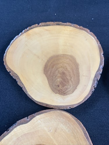 Redcliffe Australia Natural Wood Coasters Set Of 6 w/ Holder Travel Souvenir - Picture 4 of 12