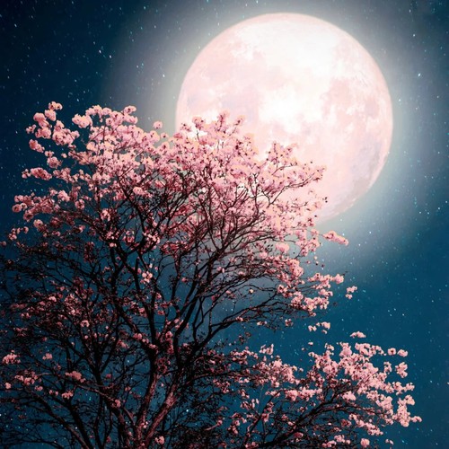 BODY WASH Shower Gel Goats Milk Liquid Soap Moisturizing 140 Scents U Choose 8oz - Picture 136 of 136