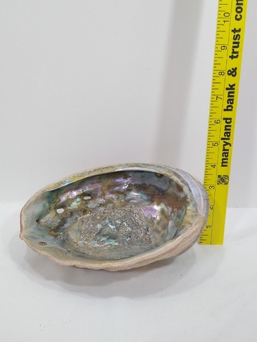 Abalone Shell Smudging Bowl Seashell Incense Burner, Iridescent Lavendar Green - Bild 7 von 8