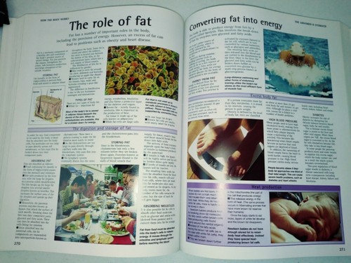 How The Body Works A Comprehensive Illustrated Encyclopedia Of Anatomy Paperback - Picture 5 of 11