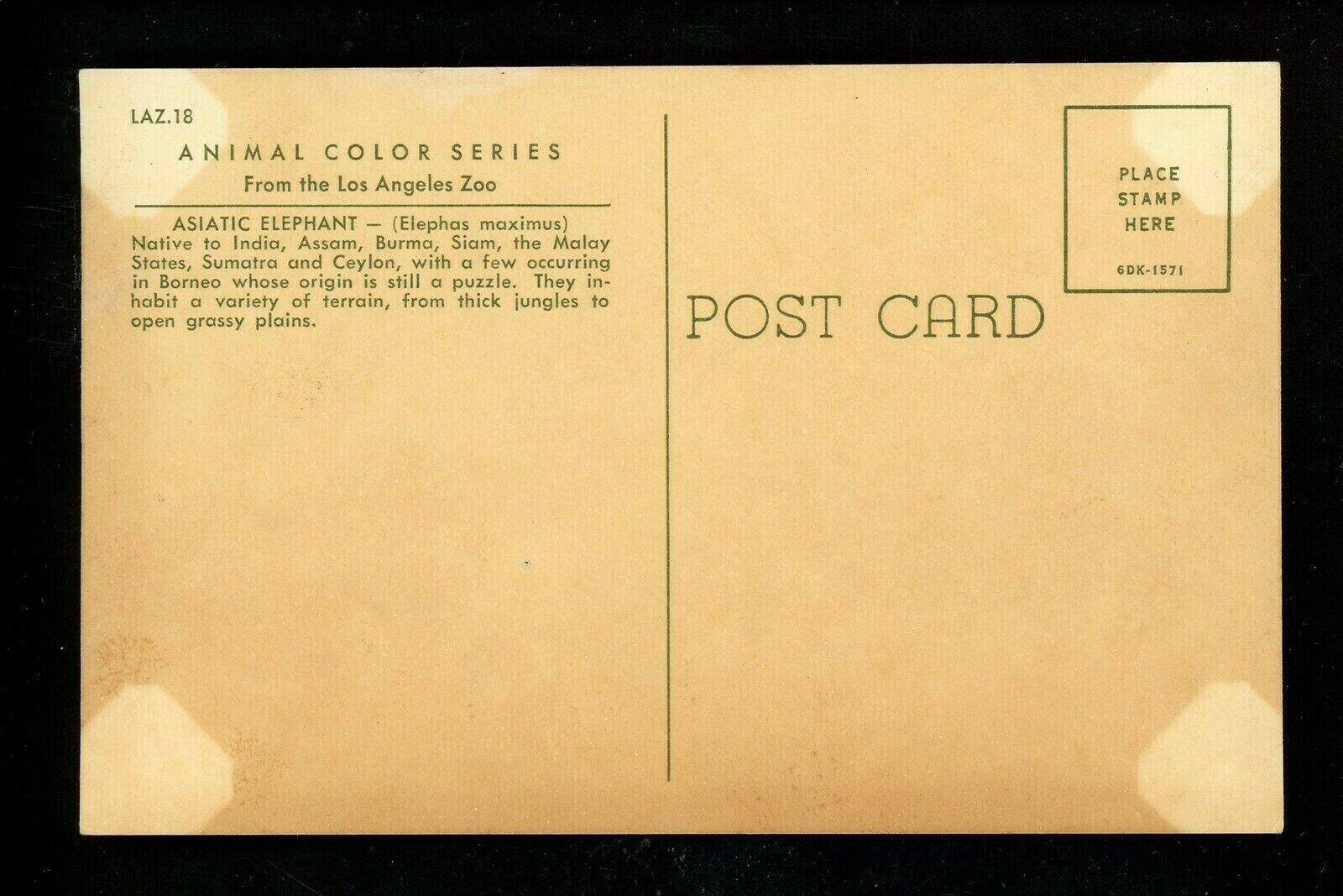 California CA postcard Los Angeles Zoo elephants chrome | eBay