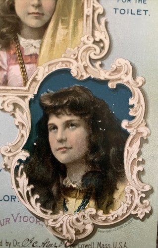Ayers Hair Vigor For WC Gray To Color Victorian Trade Card Lowell Mass - Bild 2 von 4