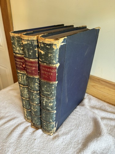 PICTURESQUE EUROPE, 3 hc FULL LEATHER Books 1800's ILLUSTRATED Steel Prints - Picture 2 of 24