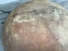 Bild 17 von 19