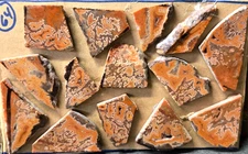 Dryhead Agate, Cabochon Slab Trim Cuts, Preform Slices, 14 pcs, Flat 64