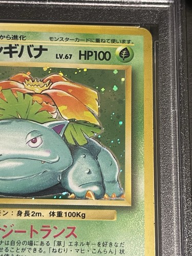 Pokemon Japanese PSA 4 VENUSAUR-HOLO 1996 BASE NO RARITY SYMBOL #68 - Picture 4 of 10