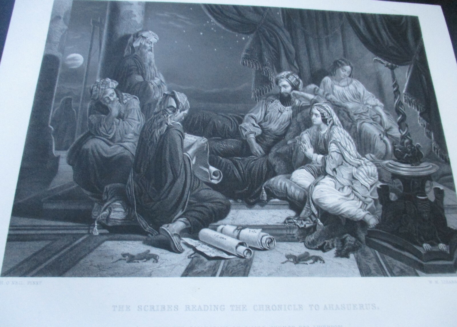 Picture 4 of 5