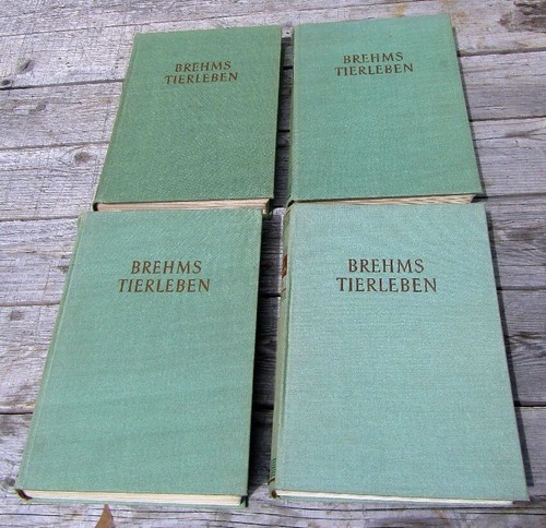 BREHMS TIERLEBEN in 4 großformatigen BÄNDEN 1955 mit 1349 Abb. + 129 FARBTAFELN