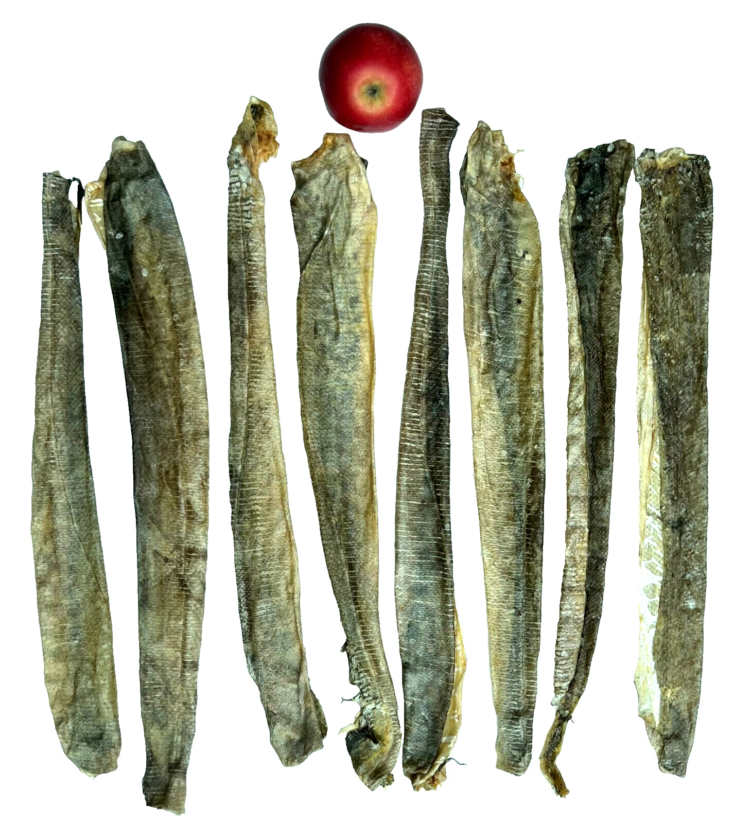 17" LONG Icelandic Wild Cod Skin Treat Air Dried Atlantic Fish Treat 300g UK
