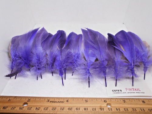 Fly Tying Feathers - Duck Quills, Turkey Quills, Turkey Tails & More - Picture 14 of 32