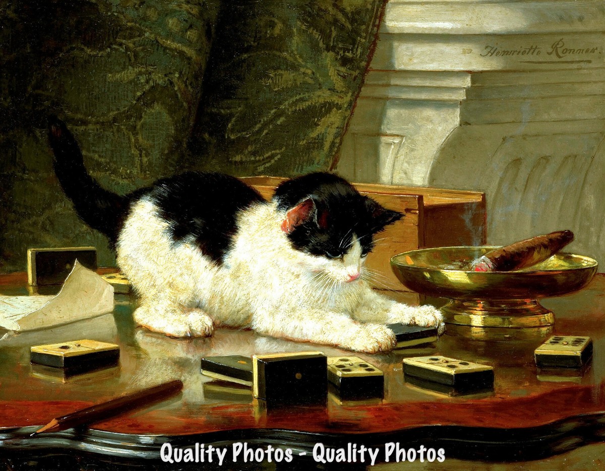 Kitten Playing Dominoes 8.5x11
