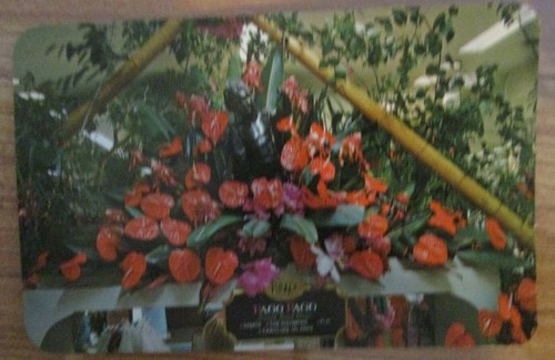 Hess's Annual International Flower Show Department store Allentown Pa- Post card - Picture 1 of 2