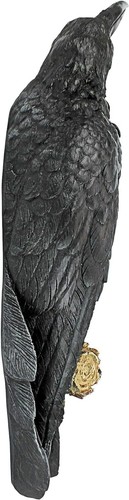 Raven Perch Wall Art Sculpture Statue ~ Realistic Life-Sized Black Crow Figurine - Picture 4 of 6