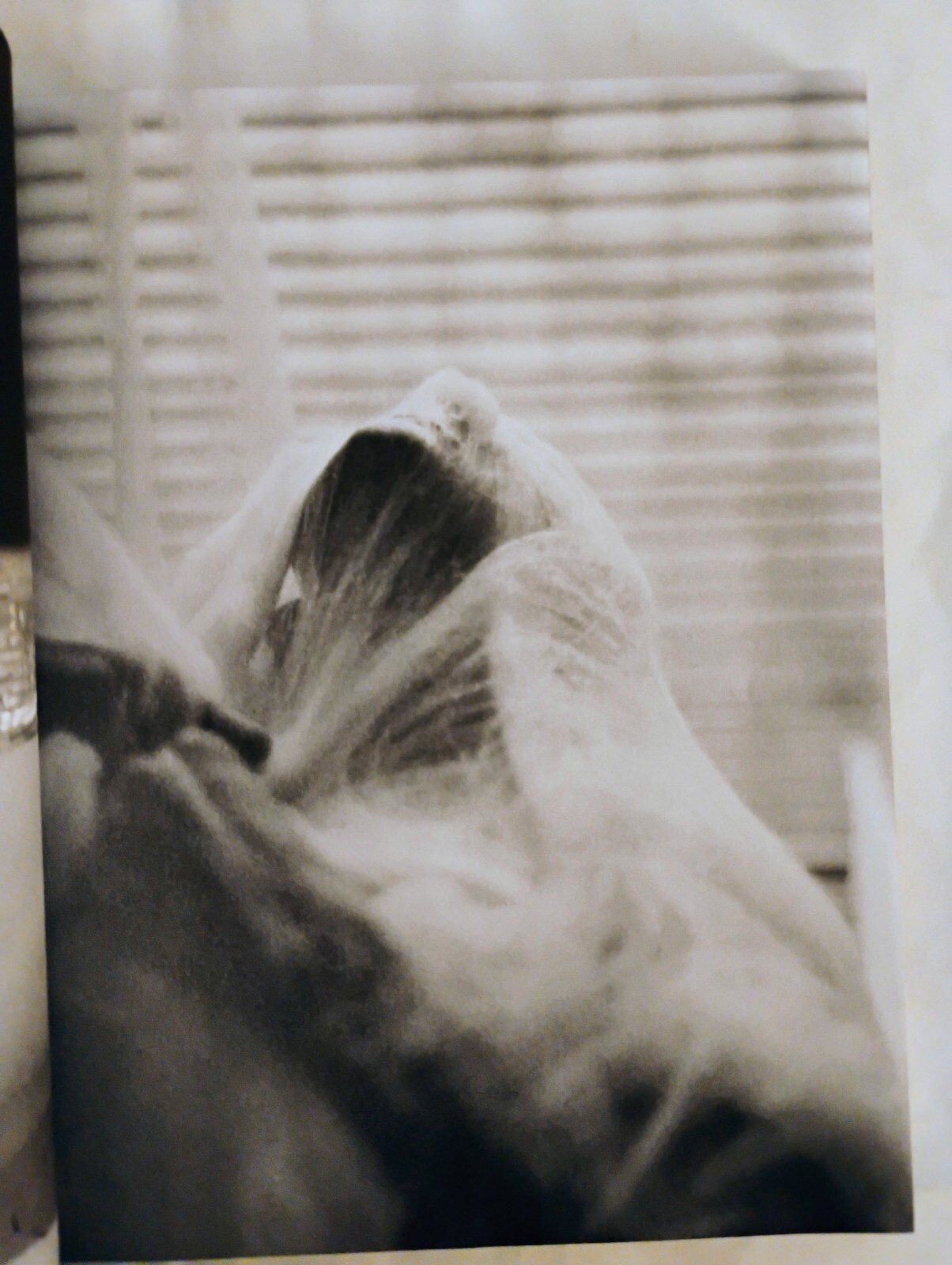 Picture 9 of 13
