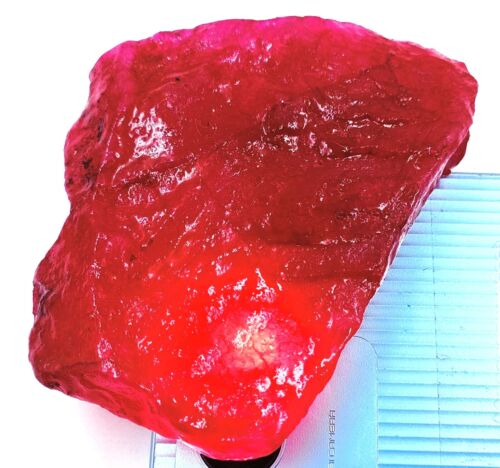 Piedra preciosa natural teñida de rubí rojo sangre de paloma africana áspera certificada de 1035 quilates - Imagen 2 de 12