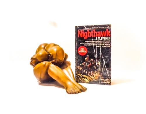 F.M. Parker / Nighthawk / Novel, Western / 1984 - Ballentine / Paperback, 1st - Picture 1 of 5