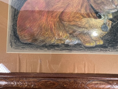 18x15” Signed Drager OOAK Art Pastel Chalk Drawing Sketch Orange Tabby Framed - 第 20/24 張圖片
