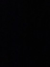 Bild 6 von 12