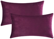 Mixhug Cozy Velvet Rectangle Decorative Throw Pillow Covers for Couch and Bed...